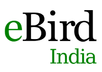 eBird India